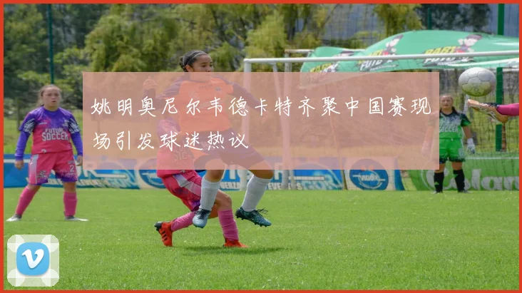 姚明奥尼尔韦德卡特齐聚中国赛现场引发球迷热议